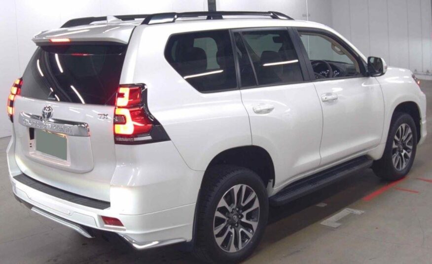 Toyota Land Cruiser Prado-TX 2023 CH-0034
