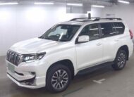 Toyota Land Cruiser Prado-TX 2023 CH-0034